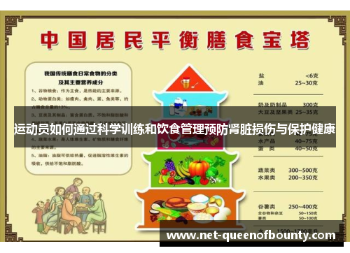 运动员如何通过科学训练和饮食管理预防肾脏损伤与保护健康