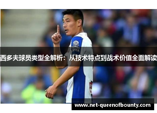西多夫球员类型全解析：从技术特点到战术价值全面解读